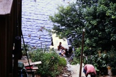 PICT0877