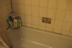 img_1558_3691302499_o