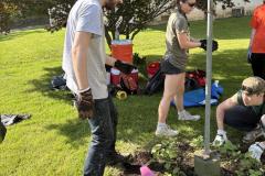 IMG_3087-1